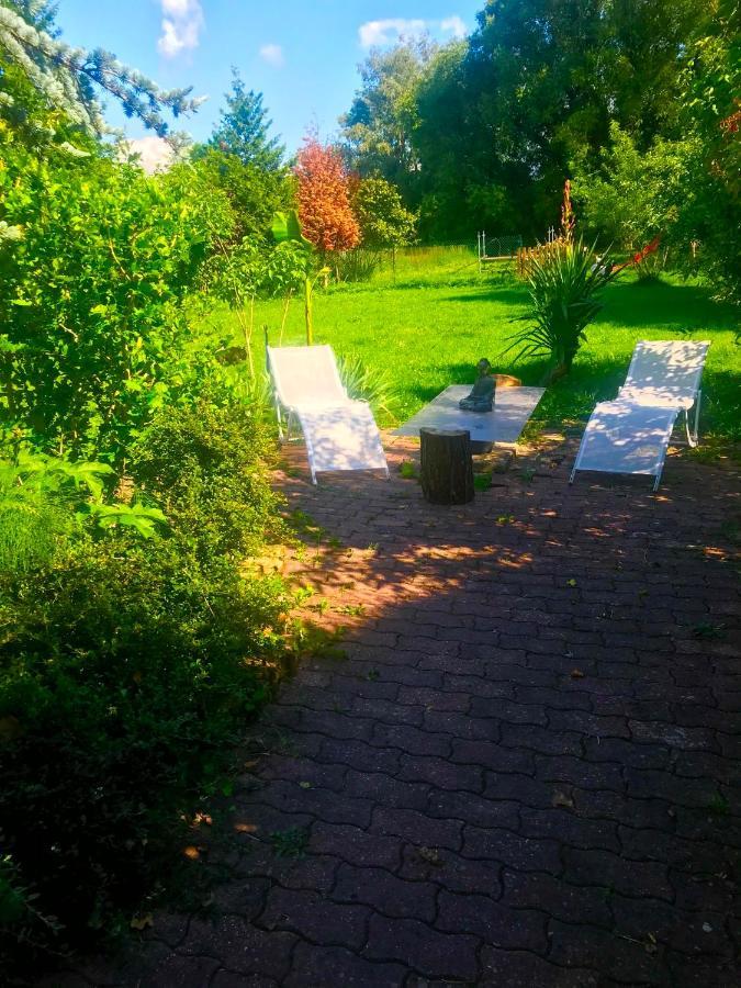 Lilly Bulles En Champagne Piscine Et Jardin Privee Apartamento Pierry Exterior foto